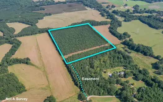 Hunting, Timber & Homesite Land in Dennis, MS