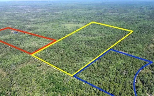 Hunting Tracts Near Suwannee River | Levy County | 40-192 Acres