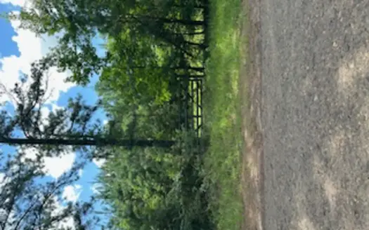 Ideal Building Site on 8yr Old Loblolly Pine Plantation