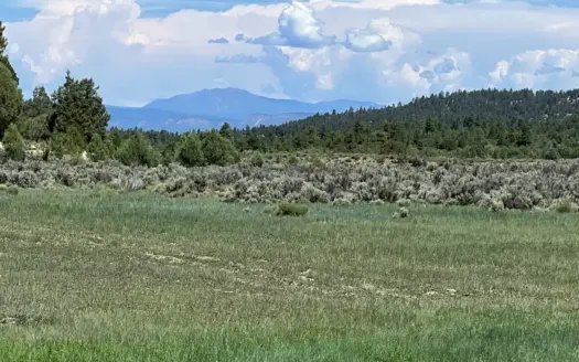 Incredible Northern New Mexico Elk Hunting Ranch For Sale Chama