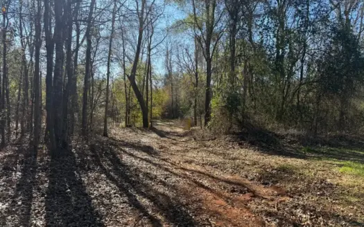 Incredible opportunity in Moundville!