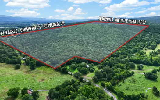 Land For Sale Adjoining Ouachita National Forest