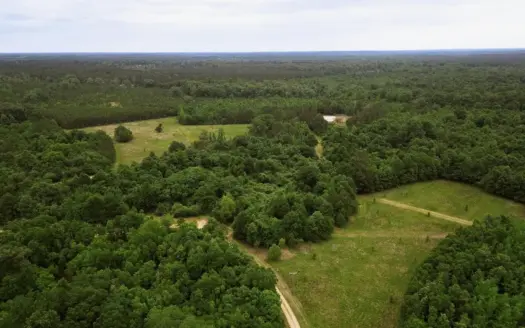 Land for Sale in Amite County, MS