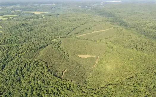 Land for Sale in Hickman County, Tennessee