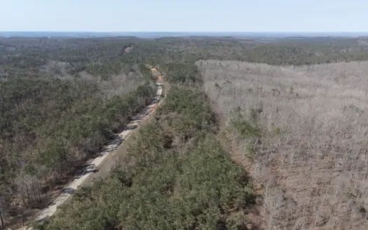 Land For Sale In Tn, 11.317 Acres+/- Near Pickwick Lake