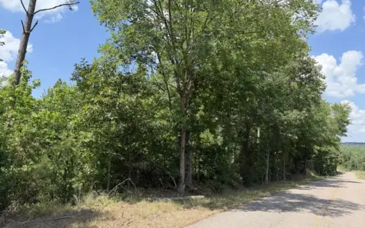 Land For Sale In Tn, 8.77 Acres+/- In Mcnairy County, Tn