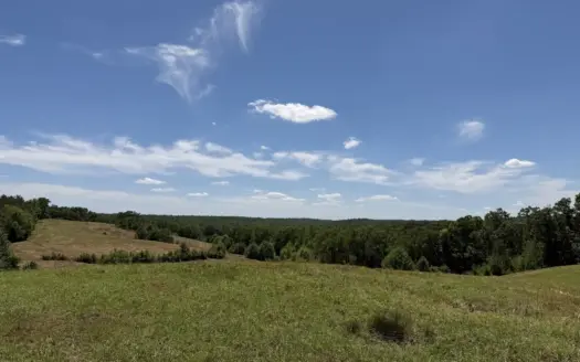 Land For Sale In Tn, Deer & Duck Hunting, Fenced Pasture
