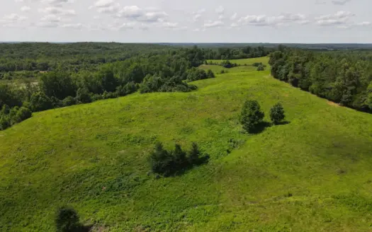 Land For Sale In Tn, Deer & Duck Hunting, Fenced Pasture