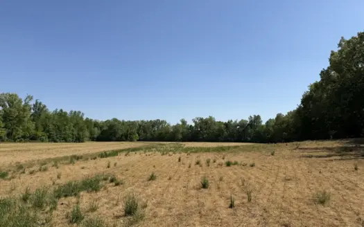 Land For Sale In Tn, Tillable, Creek, Building Site, Deer Hunting