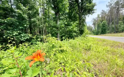 Land For Sale Near Bay Springs Lake Prentiss County, MS