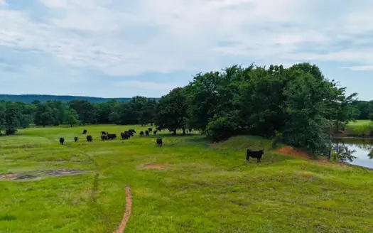 Land For Sale Near Eufaula, Oklahoma 65 Acres +/-
