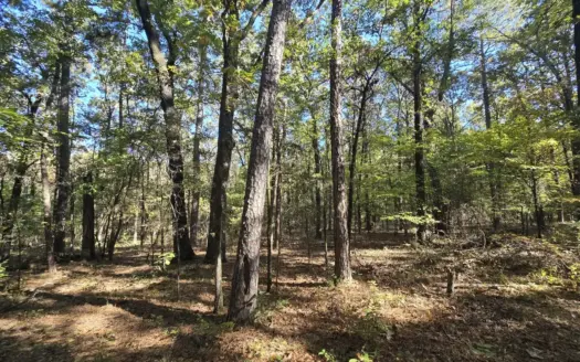 Land with Frontage to Blackfork River and National Forest