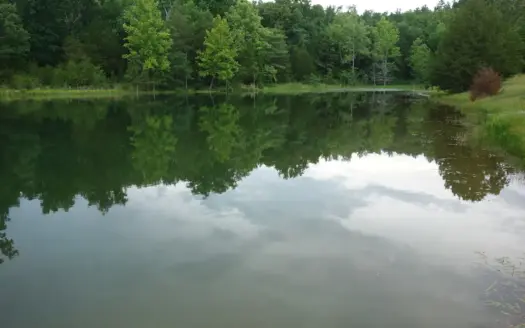 Land With Springpond For Sale Borders Public Lands Shannon County