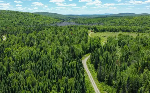 Large Acreage Maine Land for Sale Near West Grand Lake Chain