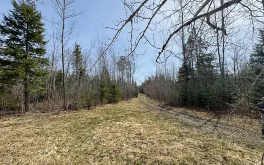Maine Retreat on 160± Acres | 242 Bottle Lake Road, Springfield