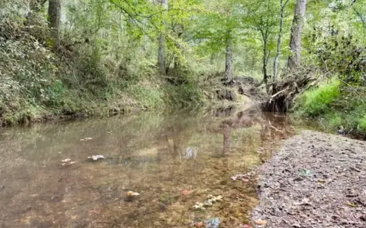 Mississippi Land For Sale With A Creek