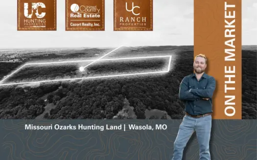 Missouri Ozarks Hunting Land | Wasola, MO