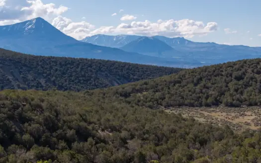 Mountain Hunting Property Surrounded by Public Land