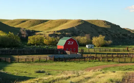 Northeastern Montana Working Cattle Ranch