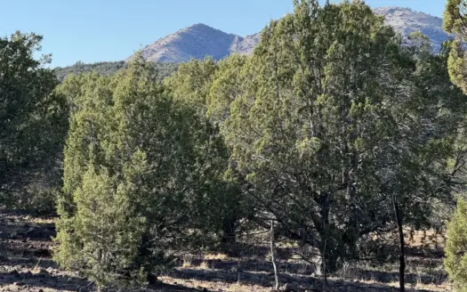 Northern AZ Large Land for Sale with Improvements