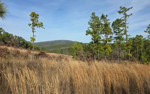 Off-Grid Mountain Homestead in Heavener Oklahoma