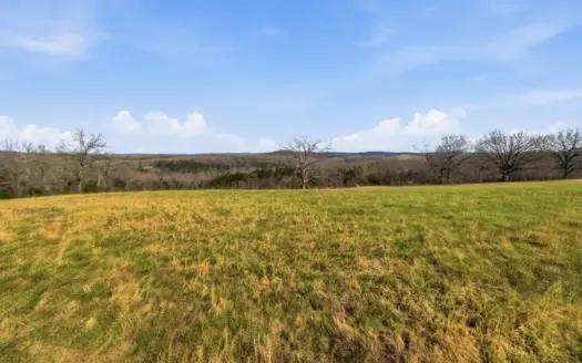 Ozarks 81-Acre Farm Near Bull Shoals Lake & National Forest