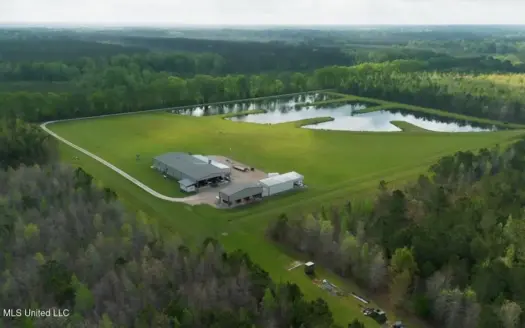 Paradise Whitetails in Oakdale, LA – 1,116± Acres