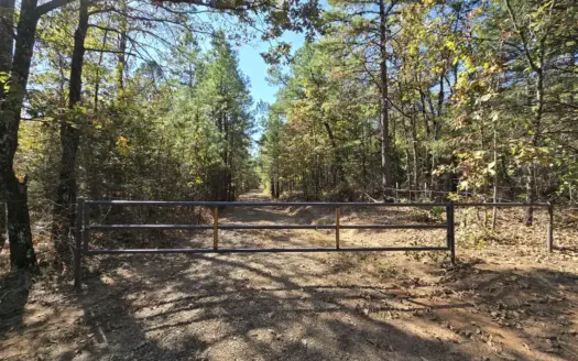Poteau Mountain Recreational Property – Adjoining National Forest