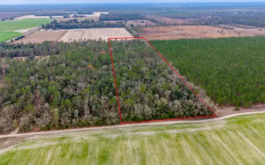 Prime 10-Acre Wooded Retreat for Sale in Live Oak, Florida