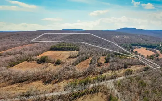 Prime 123.75 Ac. Property!