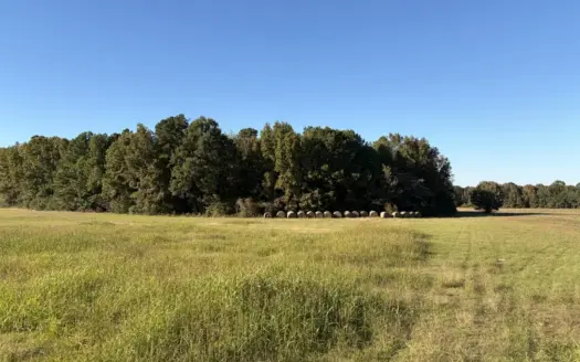 Prime 79 Acres in Fouke, AR – Build, Farm, or Hunt Near Texarkana