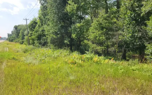 Prime whitetail deer hunting Waushara County WI