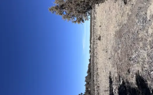 Rancho Del Vado Subdivisio -Northern NM Properties for Sale
