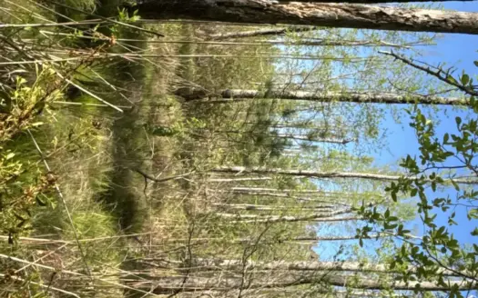 Recreational Dream Property in Columbia County!