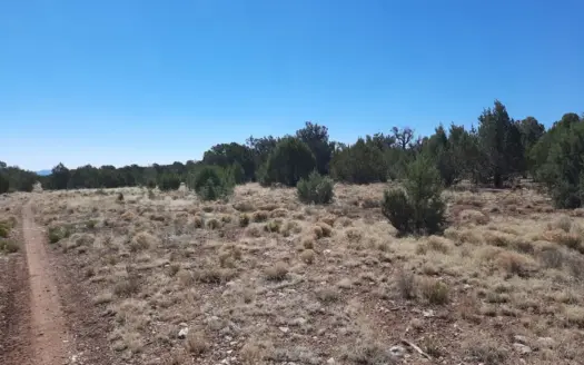 Remote Northern Arizona Hunting land