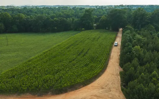 Riverfront Land for Sale At Online Auction In Granite Falls NC