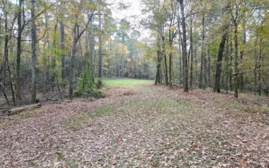 Roxie Mississippi – 94 Acre Recreational Retreat