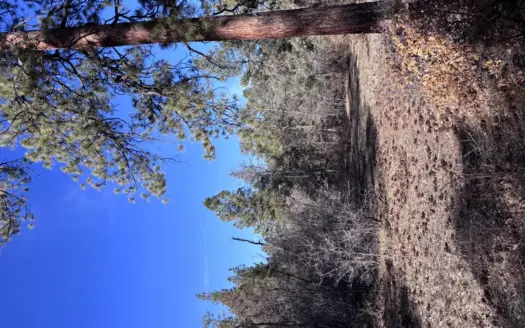 Scenic Mountain Retreat in Cebolla in Northern New Mexico