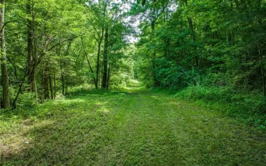 Searcy County Land With Views, Creek, Game  & Cabin For Sale