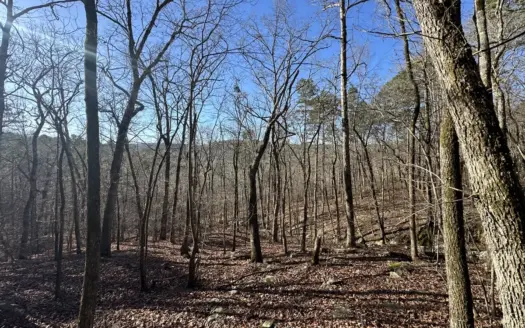 Secluded 9.62+/- Acres near Greers Ferry Lake For Sale in Prim AR