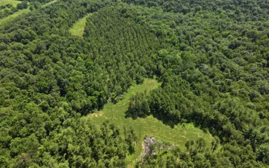 Secluded Turnkey Hunting Property