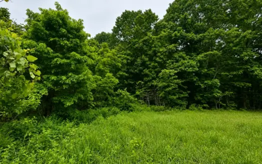 Small acreage for sale in Missouri