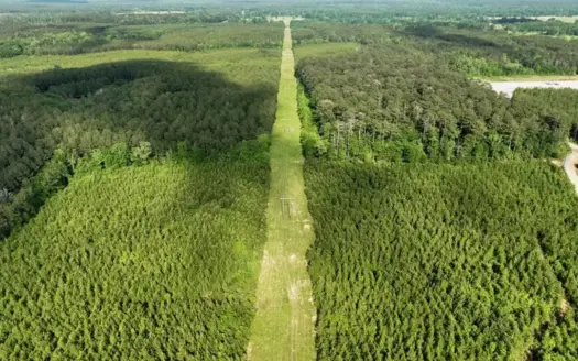 South Mississippi Hunting Paradise for Sale Amite County,MS