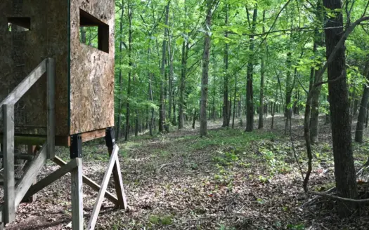 Tennessee Woods Land For Sale! 59.28 ac only minutes to TN River!