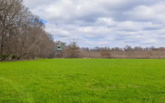 Tensas Parish Duck and Deer Hunting Property