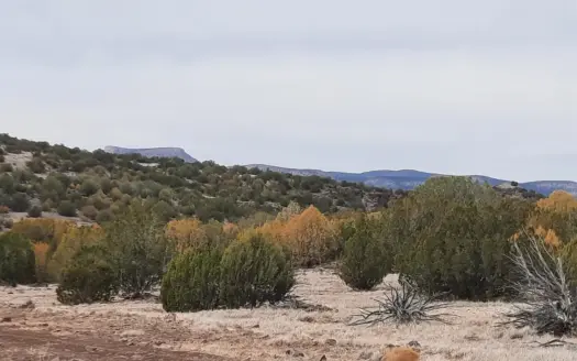 This 36.53 acre parcel is truly unique