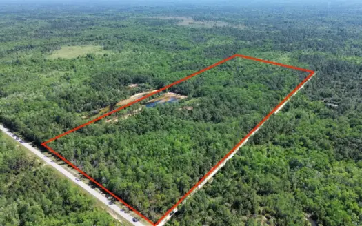Tiger Island Sportsman’s Club | Levy County, FL | 40–192 Acres
