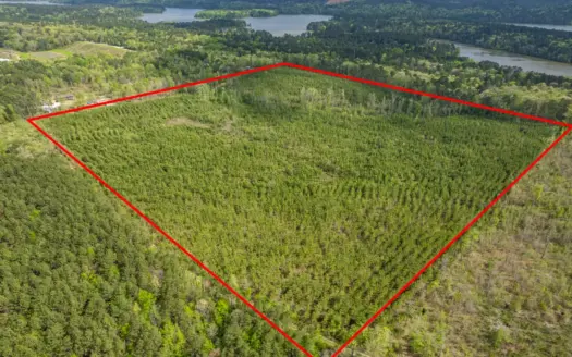 Timber land boarding Lake Degray