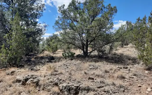Unique 7 acre off grid Northern  AZ parcel