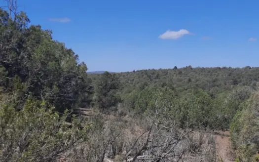 Untamed Northern AZ off grid mountain property